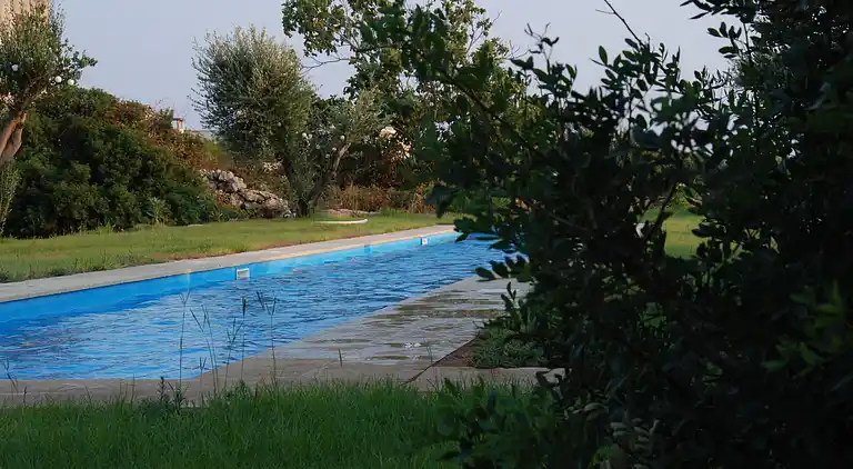 ledunedelmarchese. CAMI