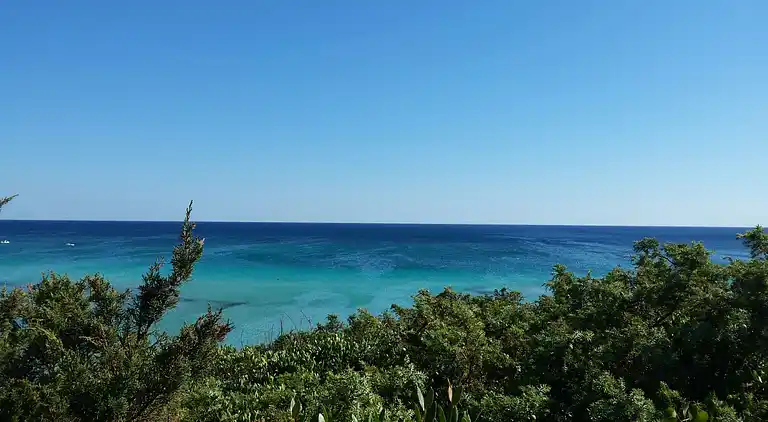 ledunedelmarchese. CAMI