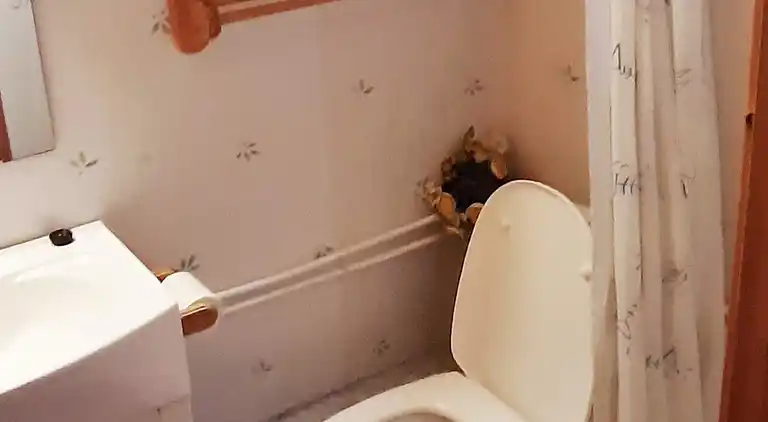 Semesterbostad i Straumsgård