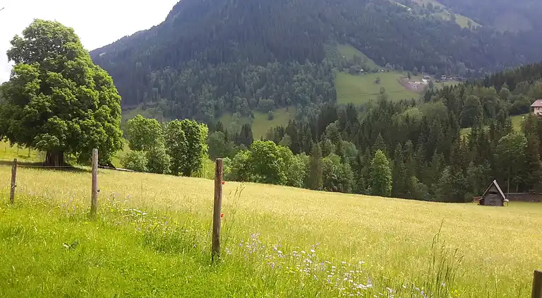 Apartment in Rohrmoos-Untertal