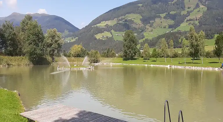 Leilighet i Hollersbach im Pinzgau