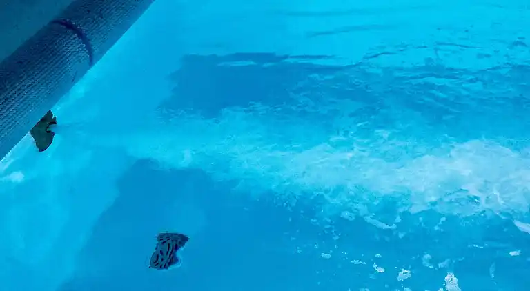 Holiday home in Lodbjerg Hede