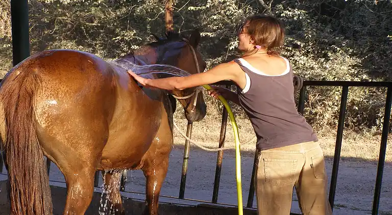 Gårdshus i San Giovanni d'Asso