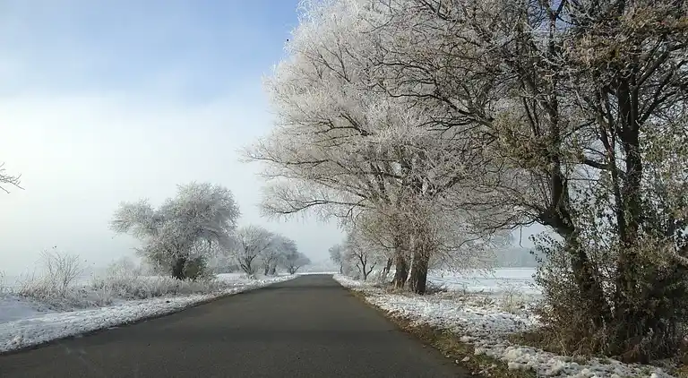 Ferielejlighed i Kühlungsborn