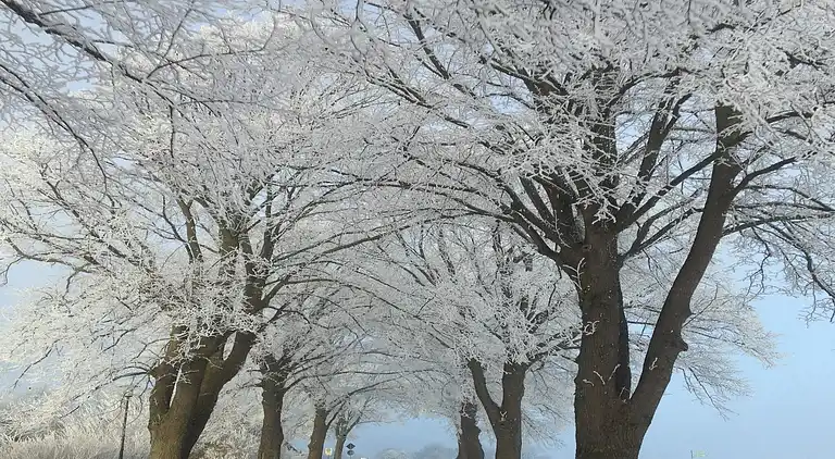 Ferielejlighed i Kühlungsborn