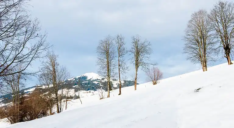 Apartment in Oberwindau
