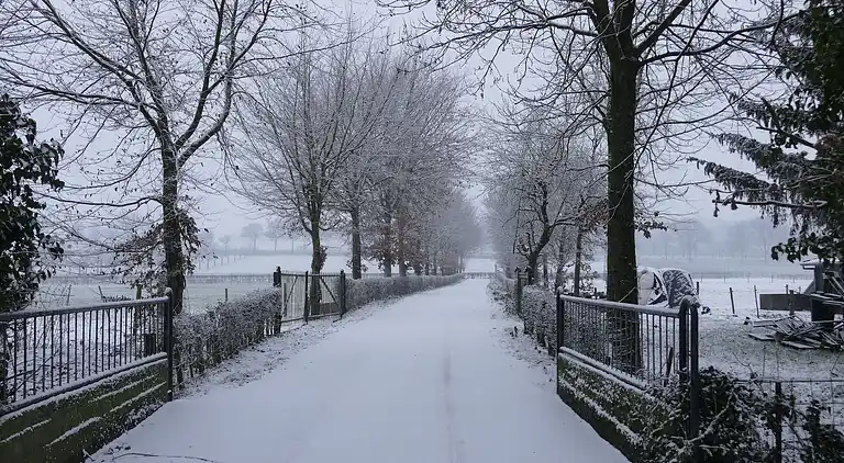 Apartment in Eijsden