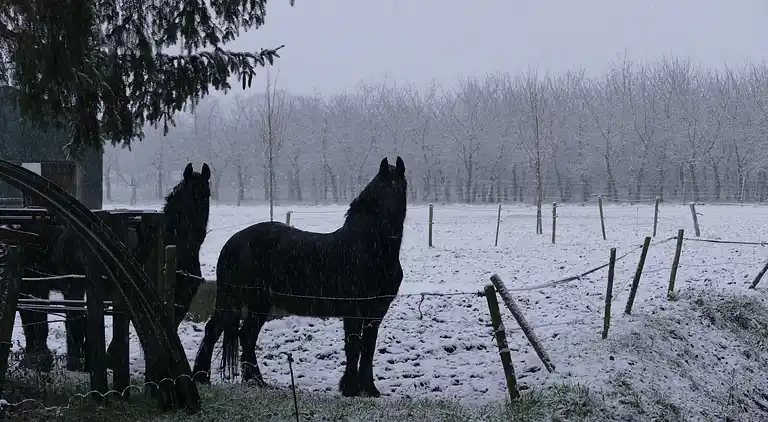 Apartment in Eijsden