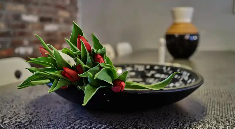 Apartment in Eijsden