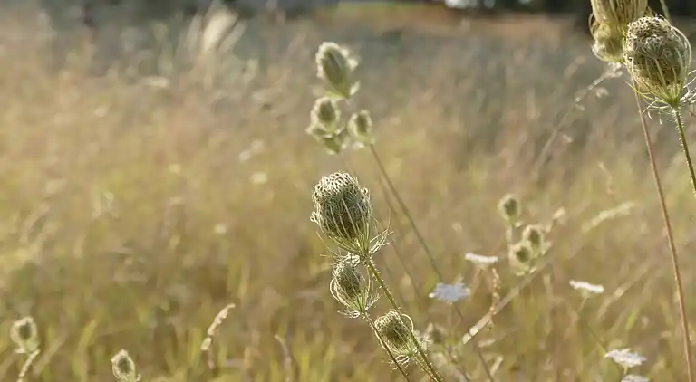 Apartment in Eijsden