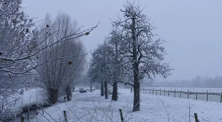 Apartment in Eijsden