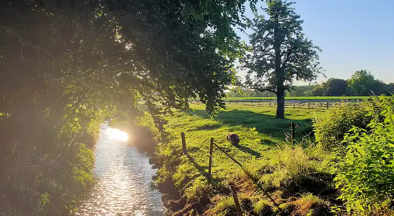 Apartment in Eijsden