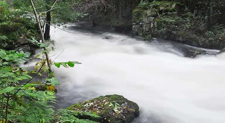 Vakantiehuis in Ronneby NV