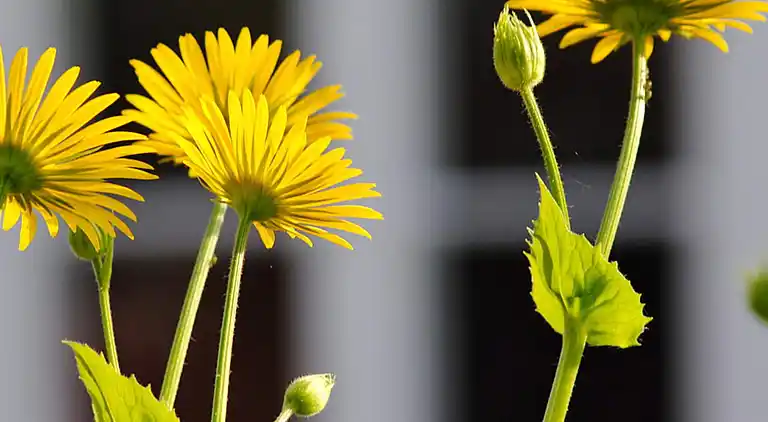 Holiday home in Tranemo V