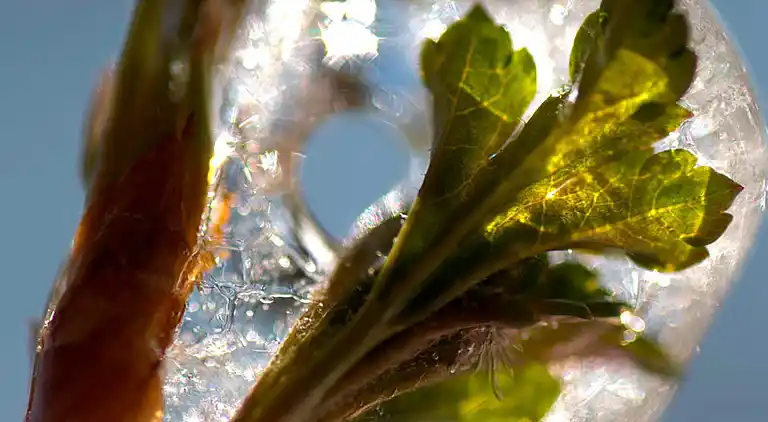 Holiday home in Tranemo V