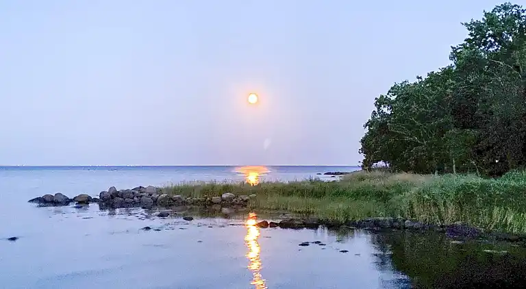 Sommerhus i Kalmar S