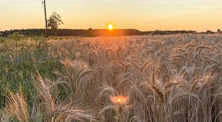 Sommerhus i Kalmar S