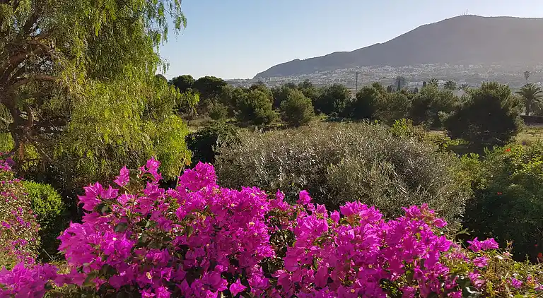 Villa Altea with sea and mountain views
