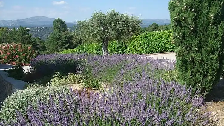 Apartment in Fayence