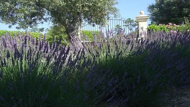 Apartment in Fayence