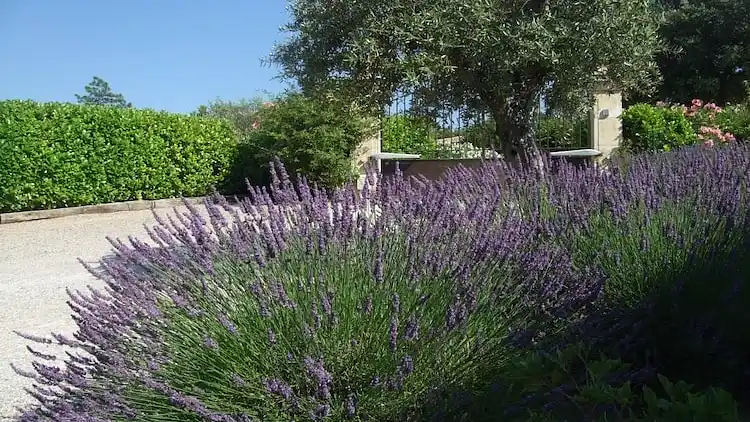 Apartment in Fayence