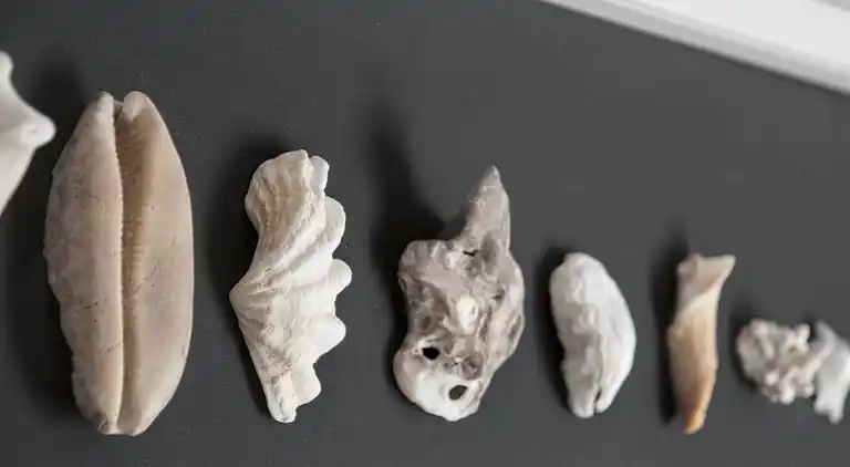 Holiday home in Nardò