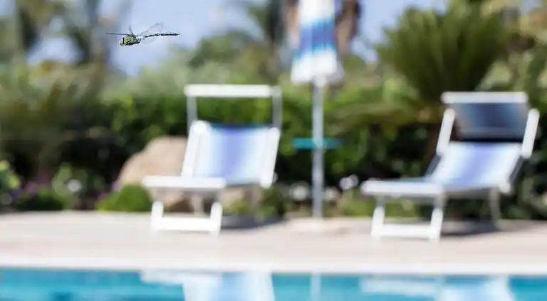 Semesterbostad i Capo Vaticano