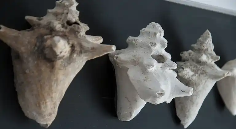 Holiday home in Nardò