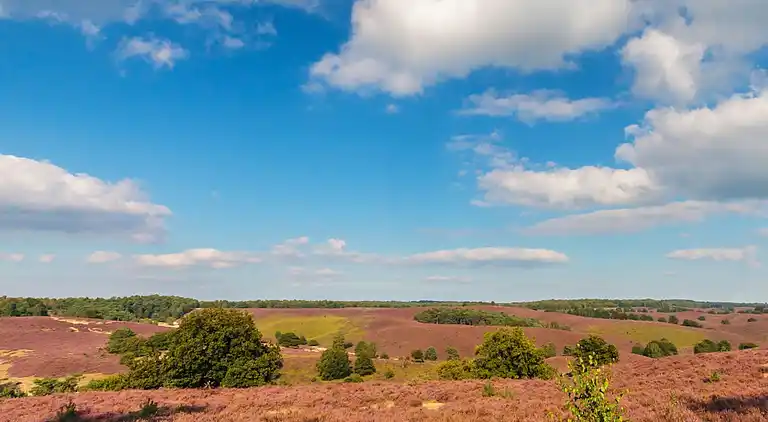 Semesterbostad i Zutendaal