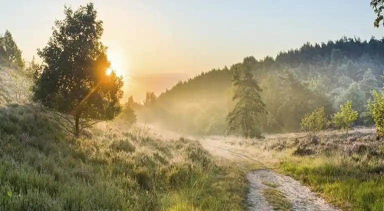 Semesterbostad i Zutendaal