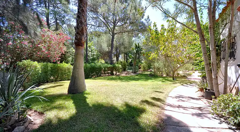 Sommerhus i Almancil