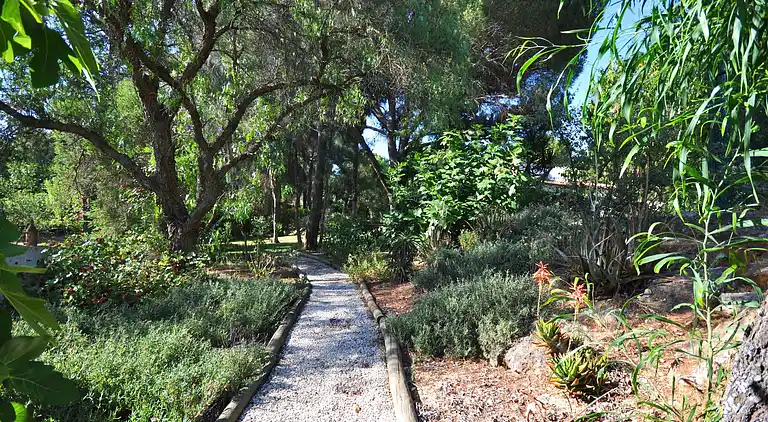 Sommerhus i Almancil