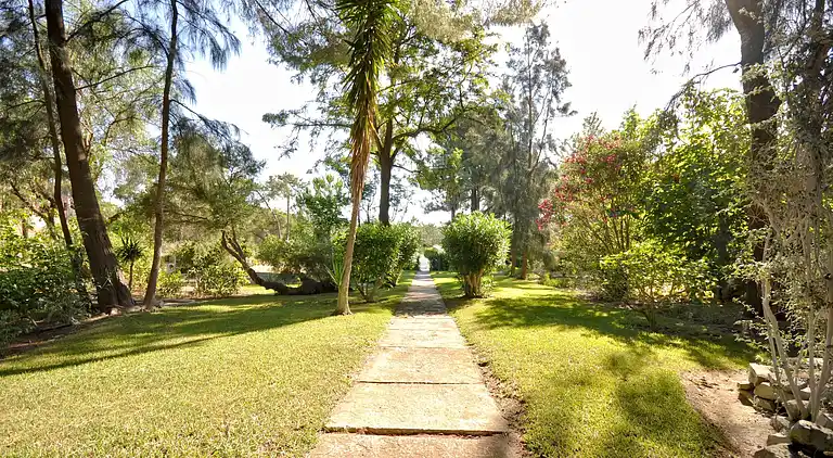 Sommerhus i Almancil