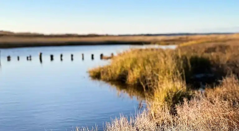Casa vacanze in Storvorde