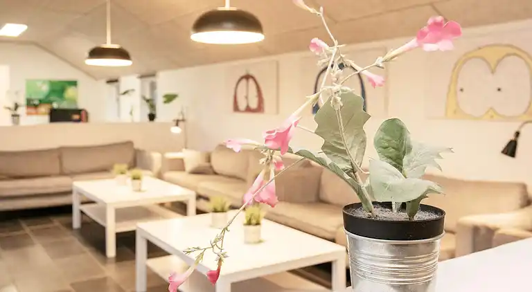 Holiday home in Brovst