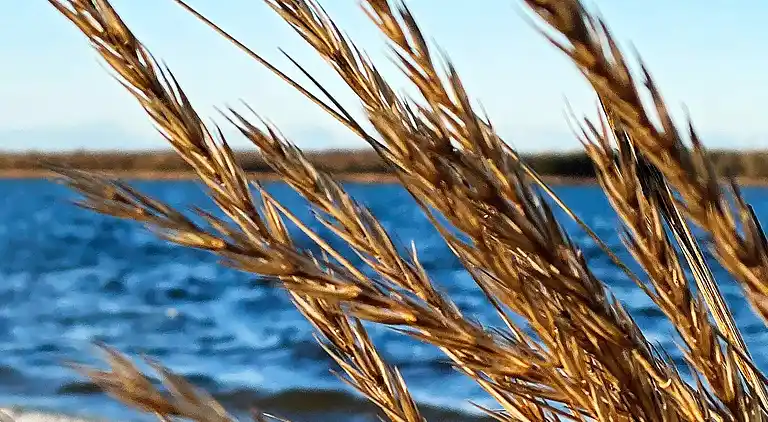 Casa vacanze in Storvorde