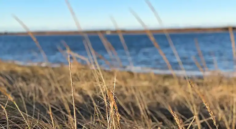 Casa vacanze in Storvorde