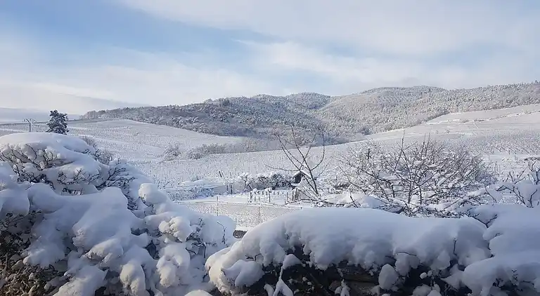 Apartment in Dieffenthal