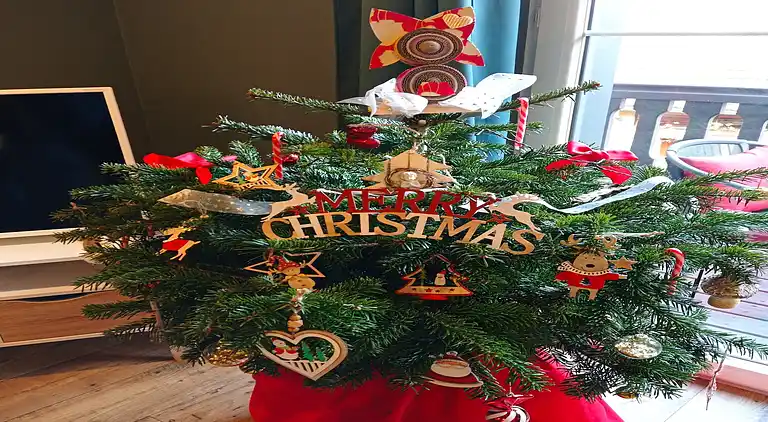 Apartment in Dieffenthal