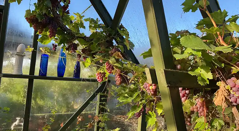 Holiday home in Nykøbing Mors