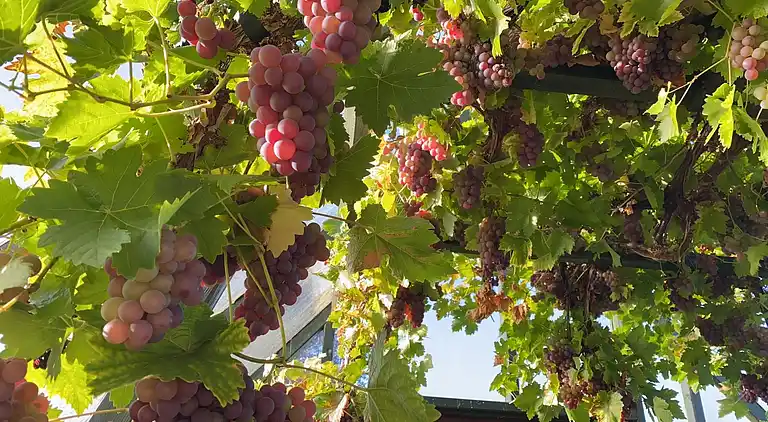 Holiday home in Nykøbing Mors