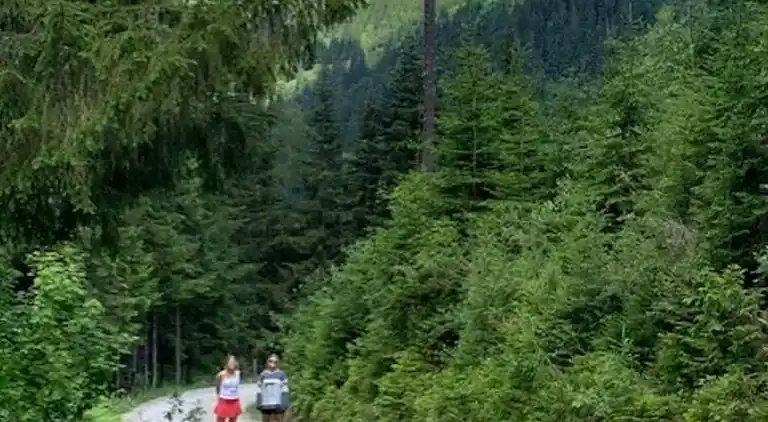 Manor house in Goldegg