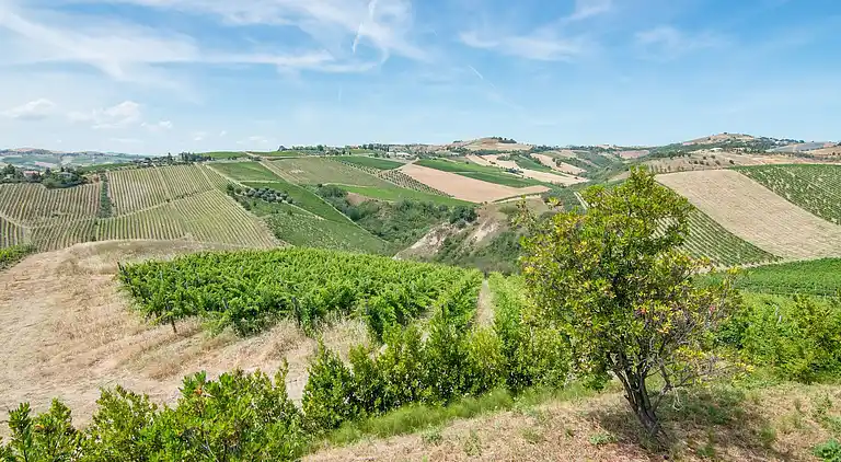 Apartment in Acquaviva Picena