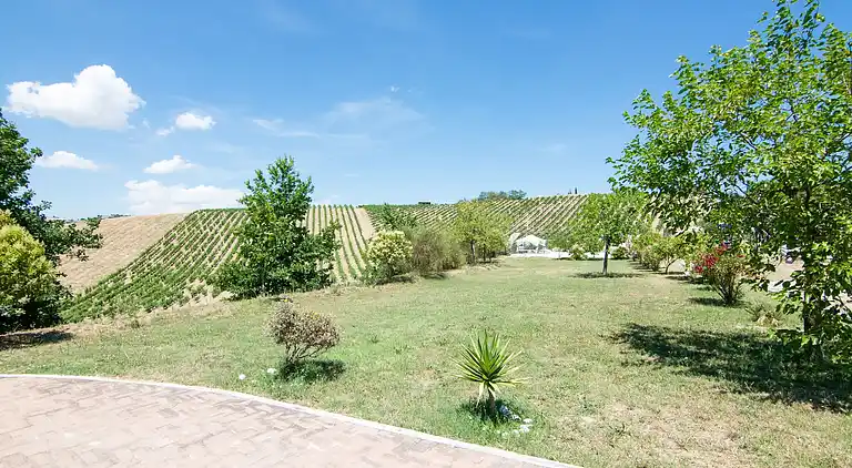 Apartment in Acquaviva Picena