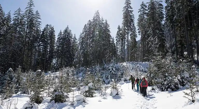 Apartment in Bramberg am Wildkogel