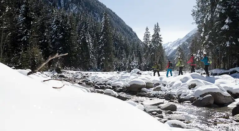 Apartment in Bramberg am Wildkogel