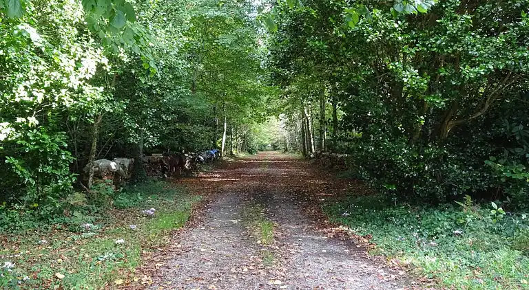 Semesterbostad i Bénodet