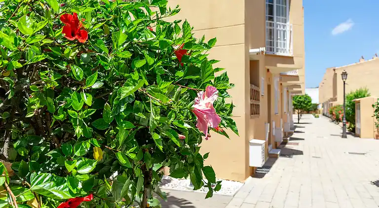  Belle maison mitoyenne à proximité de la plage
