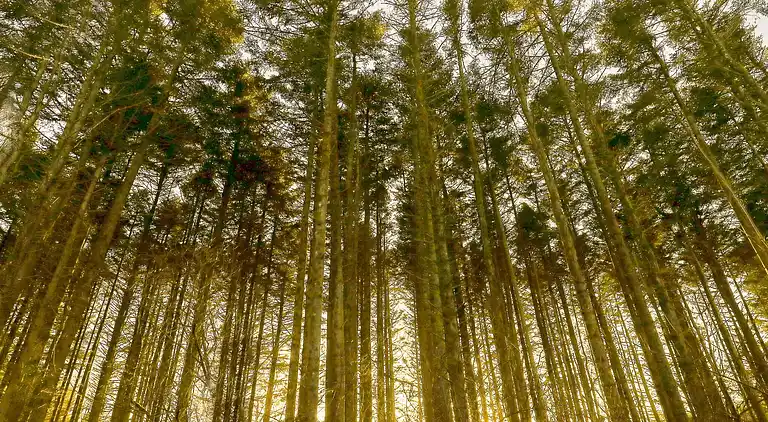 Holiday home in Løkken