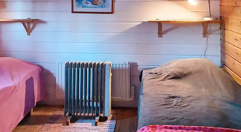 Sommerhus i Mullsjö V